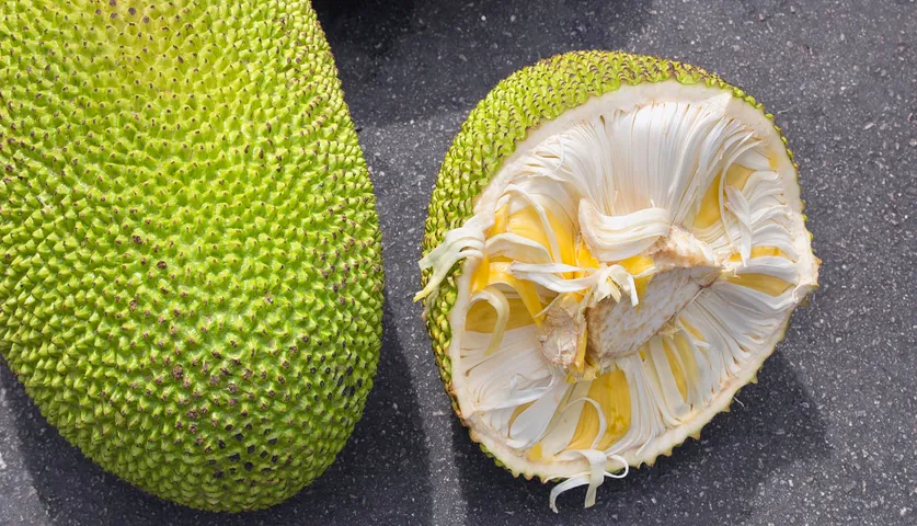 Why Should Jackfruit Be A Part Of Your Diet?