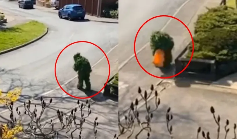 Lockdown Escape: A Man Come Up With Strange Idea To Escape From Quarantine