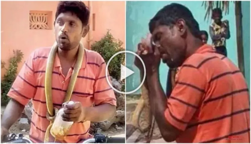 Shocking Video! Man Bites Snake Into pieces For This Reason