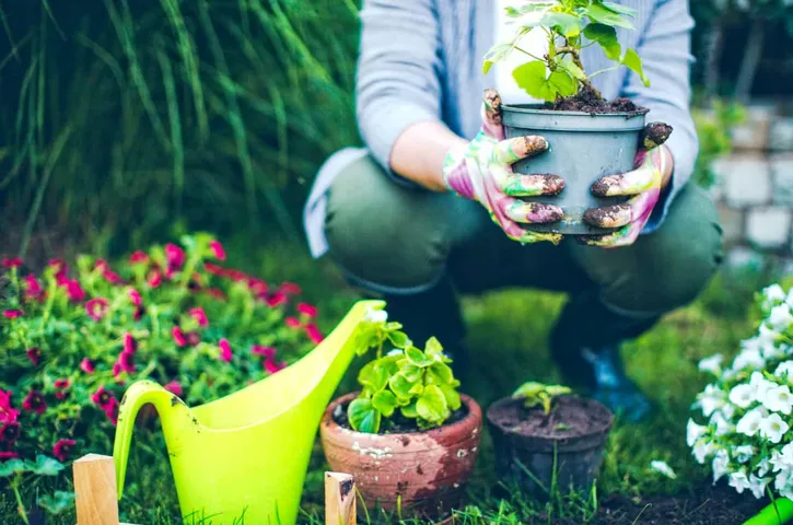 These Must-Have Plants Will Make Your Garden Look Amazing