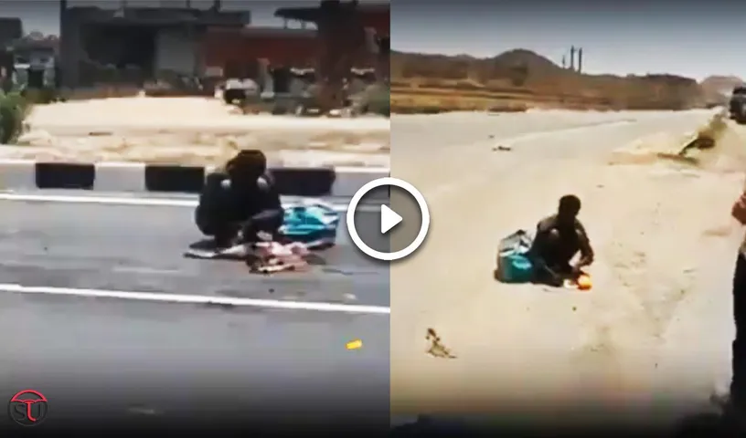 Painful: Migrant Worker Recorded Eating Dead Dog Meat At Delhi Jaipur Highway