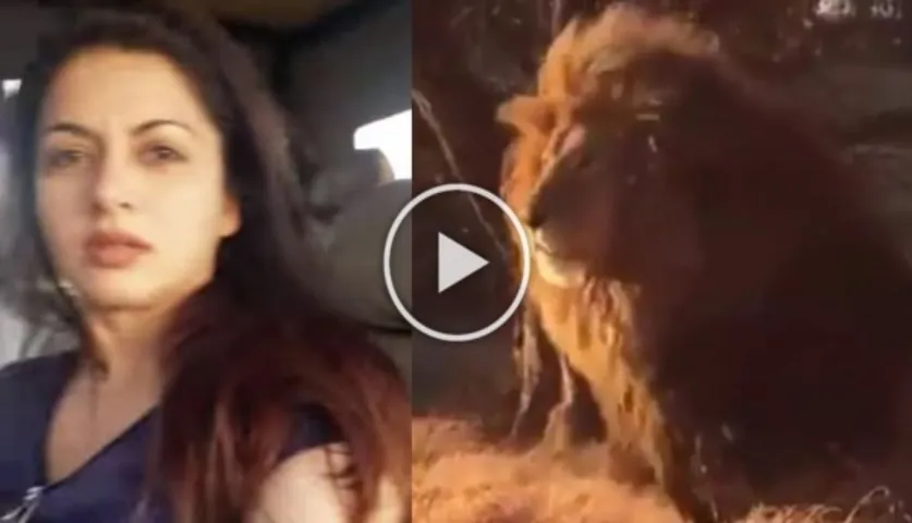 Viral: Veteran Actress Bhagyashree Shared A Dangerous Video Of Lion