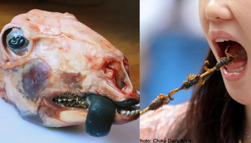Check Out These Weird And Bizarre Foods That People Eat Across The World
