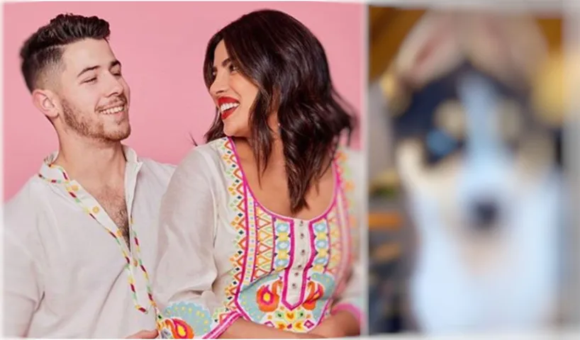 Adorable! Priyanka And Nick Jonas Welcomes New Friend In Their Family