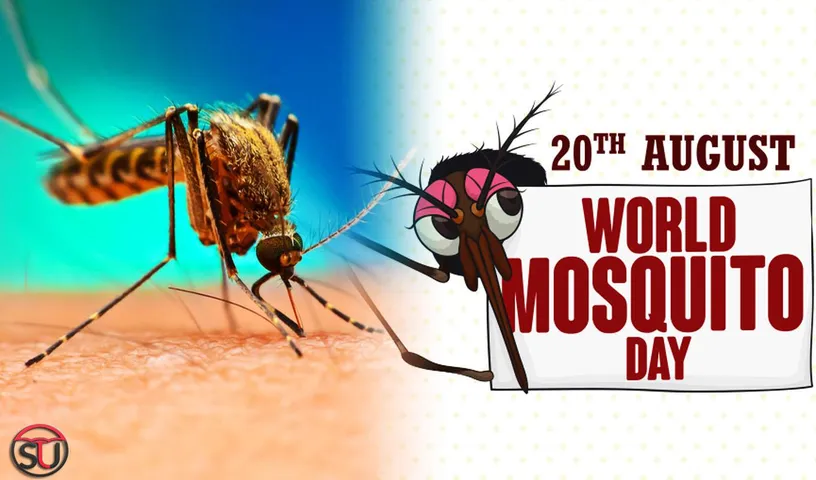 Tera Buzz Mujhe Sone Na De: 6 Fascinating Facts About Mosquitoes On Their Day