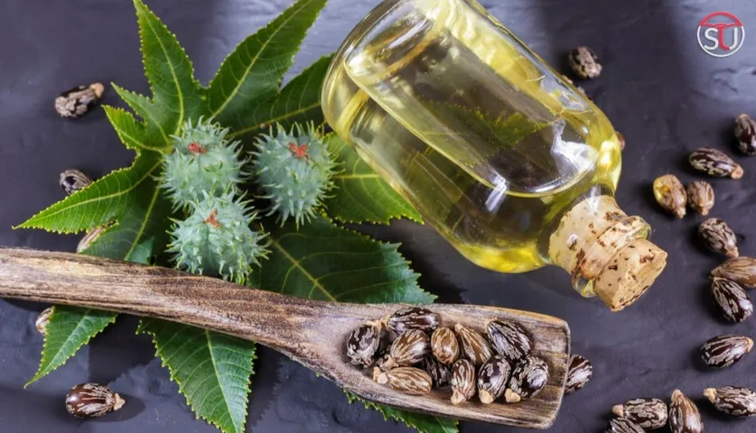 Castor Oil (Arandi): An All-In-One Remedy For Your Skin, Hair, And Body Issues