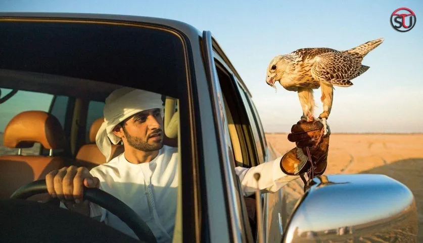5 Places To Visit In Qatar Where Fun Is Absolutely Free (Don't Skip!!!)