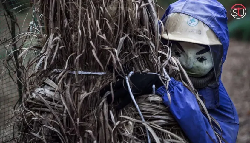 Nagoro: Japan’s Creepiest Village Where Dolls Replace Humans