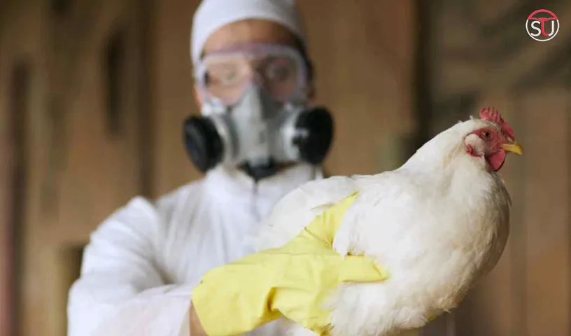 World’s First H3N8 Bird Flu Case in Human Detected, Know What is It?