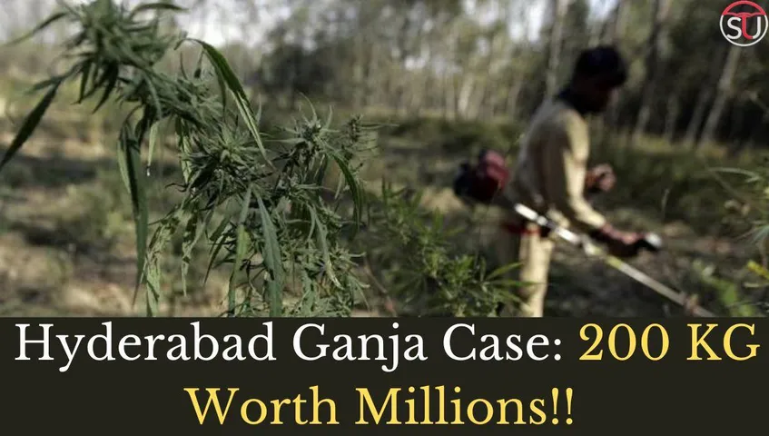 200 kgs Ganja Seized in Hyderabad: Story of Ganja That Travelled 900kms Just to Get Caught!!