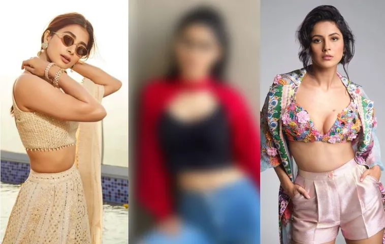 Besides Pooja Hegde And Shehnaaz Gill, This Girl Will Grab Attention in Kisi Ka Bhai Kisi Ki Jaan