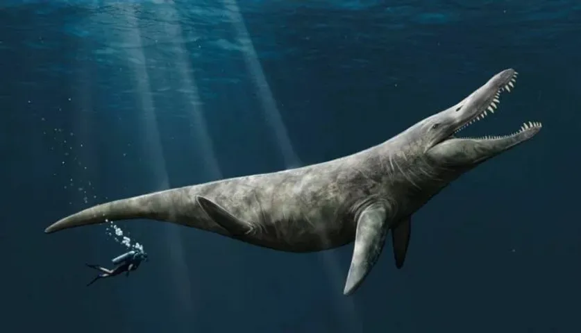 Giant Reptiles Pliosaur of the Jurassic Seas Were Twice the Size of Killer Whales: Study Claim