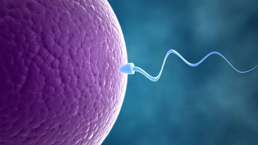 Infertility : Causes And Factors Causing Infertility In Men and Women
