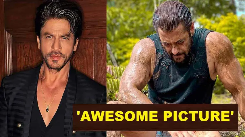 Shah Rukh Khan Gives An Enthusiastic Reply When Fans Asks If He Remembers Salman's Birthday