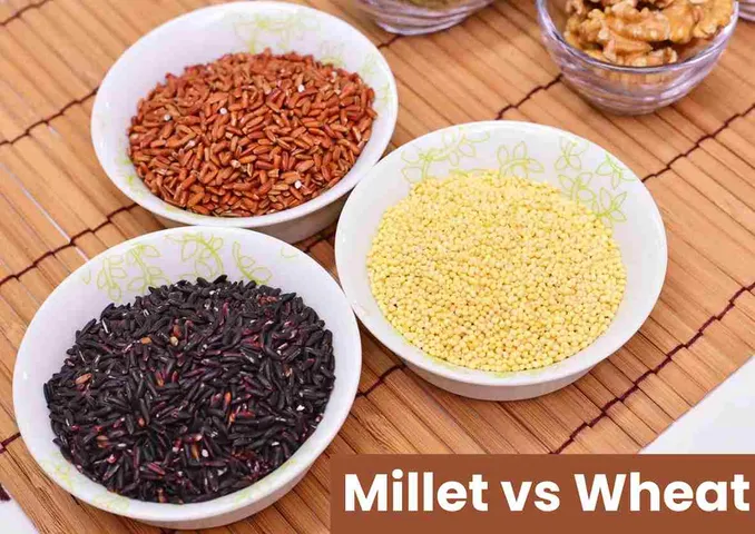 Millet vs Wheat, Know Whose Flour Roti is More Beneficial for Health