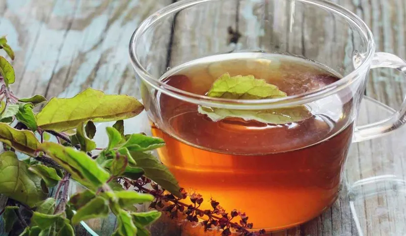 Make Tulsi Decoction Your Friend in Monsoon, You will Be Safe From Many Types of Diseases
