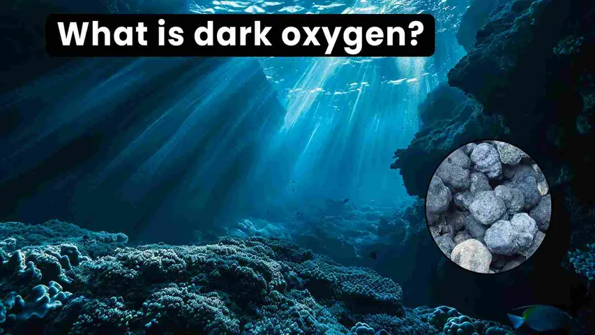 What is 'Dark Oxygen'? Dark Oxygen Found In Deep Sea 13,000 Feet Below Sea Level
