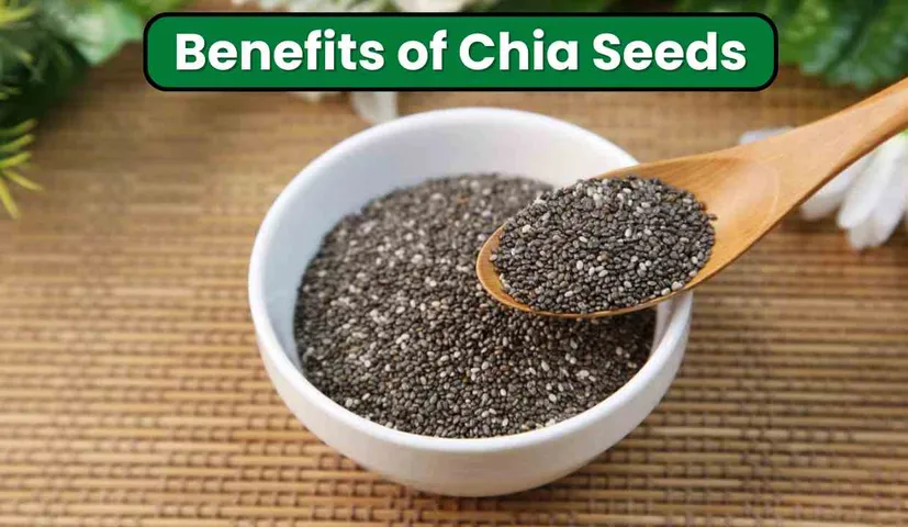 Benefits of Chia Seeds: Want to Control Blood Sugar And Stay Full of Energy