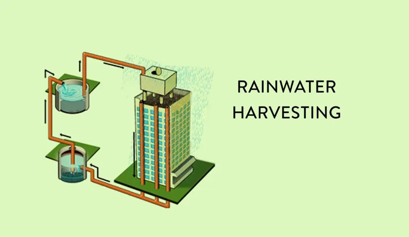 Rainwater Harvesting: A Sustainable Solution for Water Management