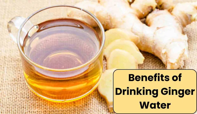 There are many Benefits of Drinking Ginger Water on An Empty Stomach