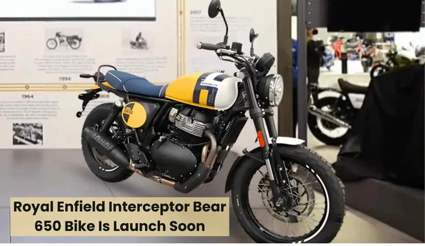 New Royal Enfield Interceptor Bear 650 Bike Is Launch Soon, Know What is New in it