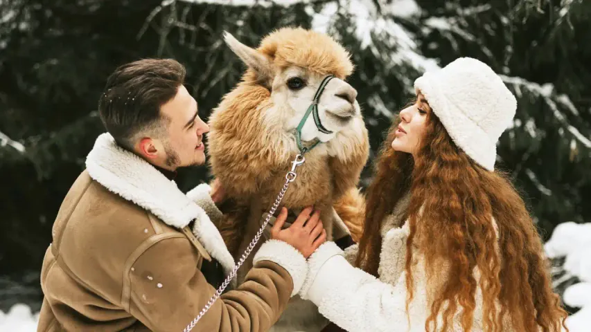 Top 10 Wildlife Adventures in the World to Experience Nature