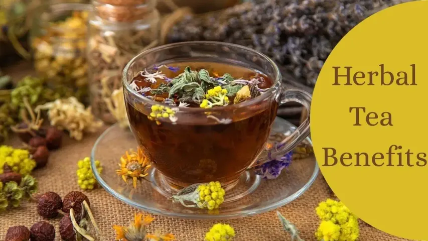 Herbal Tea Benefits: Health Advantages, Types and Best Time to Drink