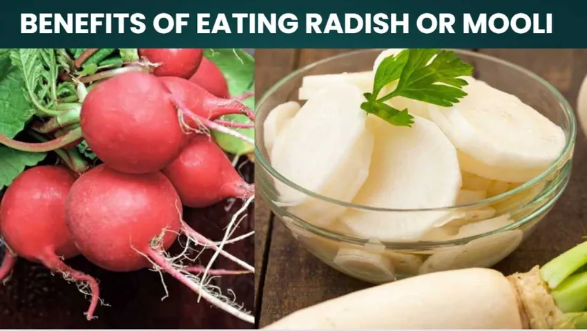 Do You Avoid Eating Radish or Mooli In Winter For Bloating Reasons? Try These Best Ways To Eat !