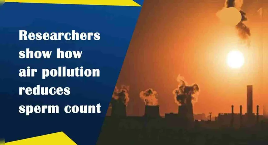 Can Air Pollution Harm Male fertility ? Is Sperm Health Affected By Smog? Know Here