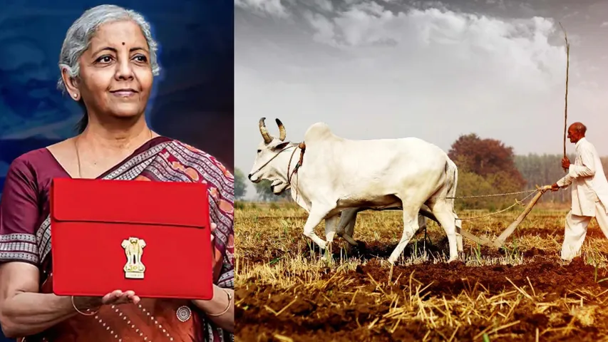 Budget 2025: Nirmala Sitharaman likely to make these key announcements for farmers