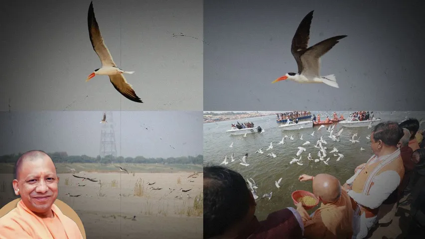 महाकुंभ में प्रदूषण मुक्त जल की रिपोर्ट पर पक्षी वैज्ञानिकों ने लगाई मुहर