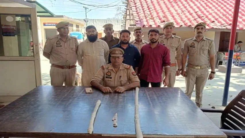 three accused arrested