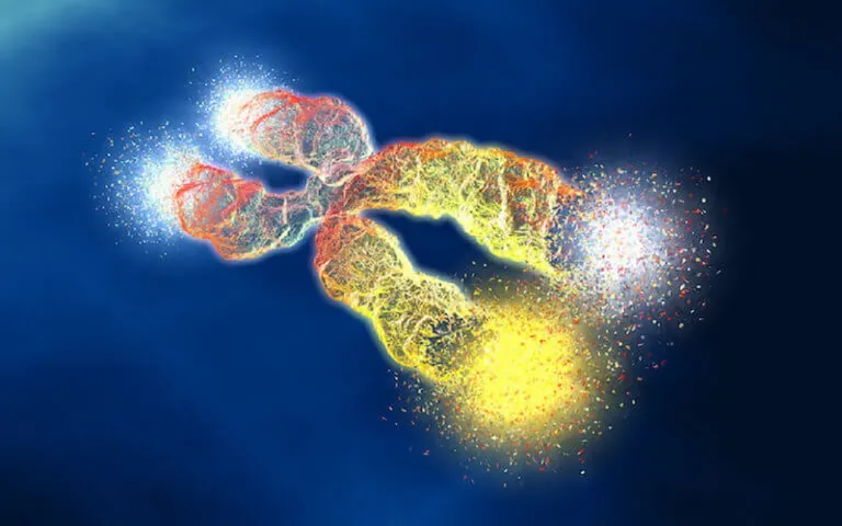 How do telomeres play a role in cancer