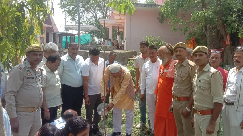 MLA planted