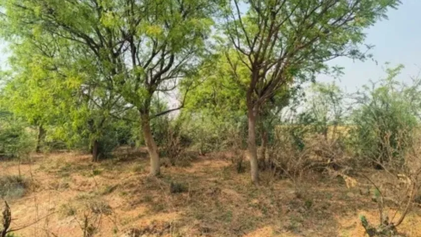 रईसजादों ने की घ‍िनौनी करतूत।