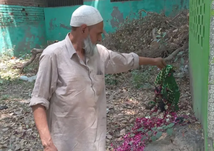 वाईबीएन