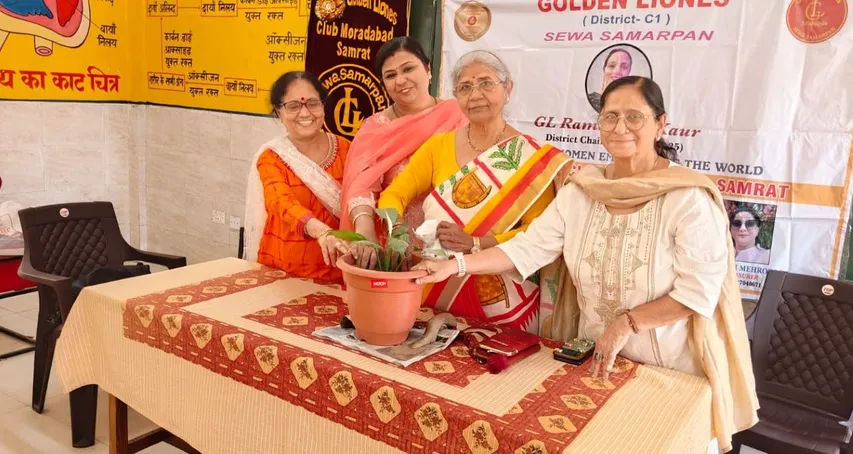 वाईबीएन