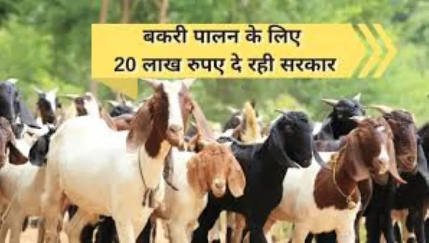वाईबीएन 