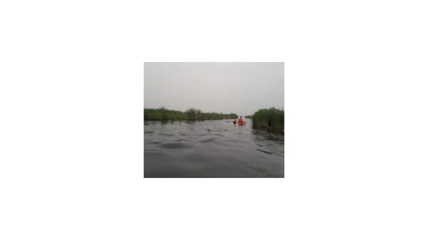 Sdrf Searching today