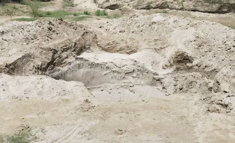 वाईबीएन