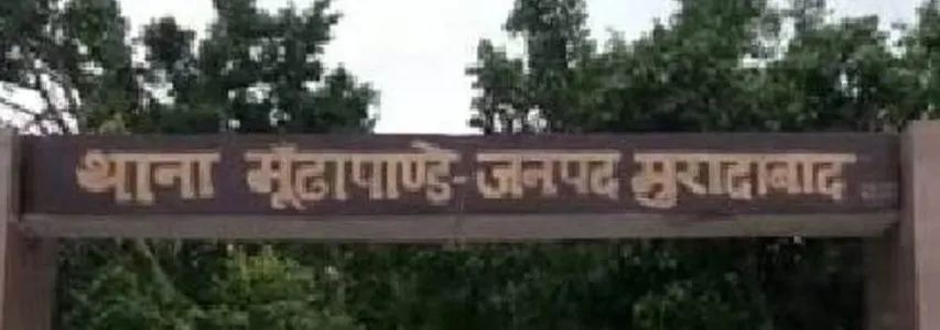 वाईबीएन