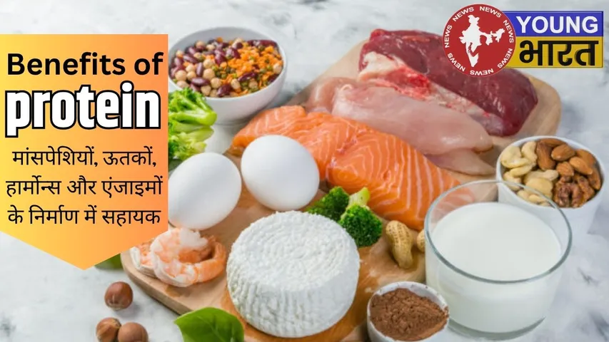 Benefits of protein