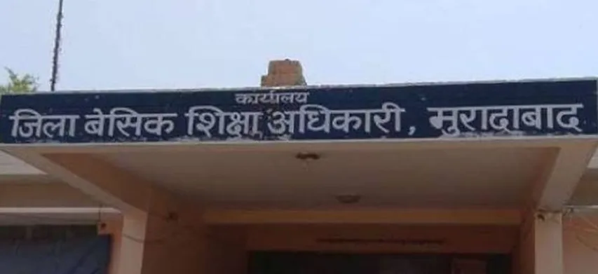 वाईबीएन