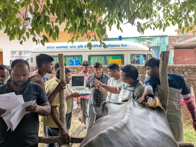 वाईबीएन 
