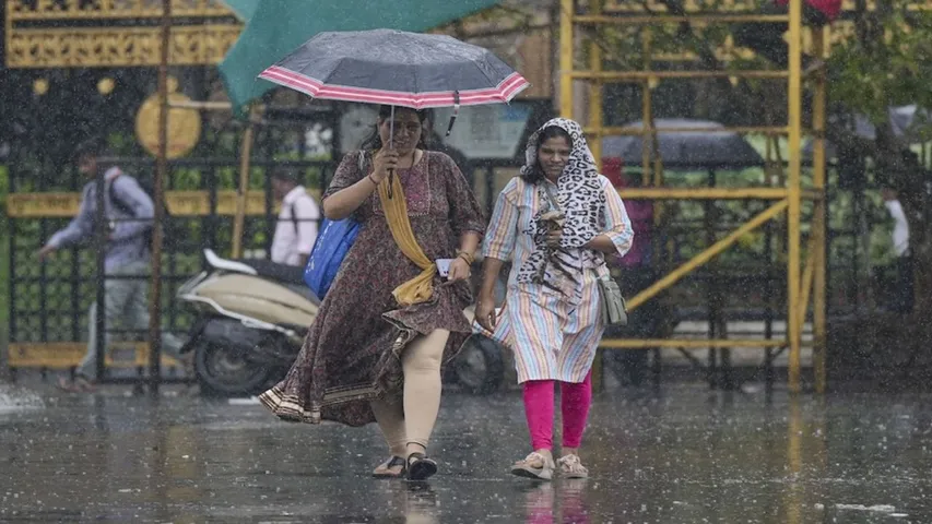 weather forecast 31 may 2025