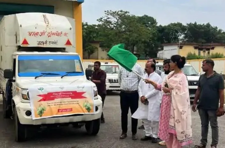 वाईबीएन