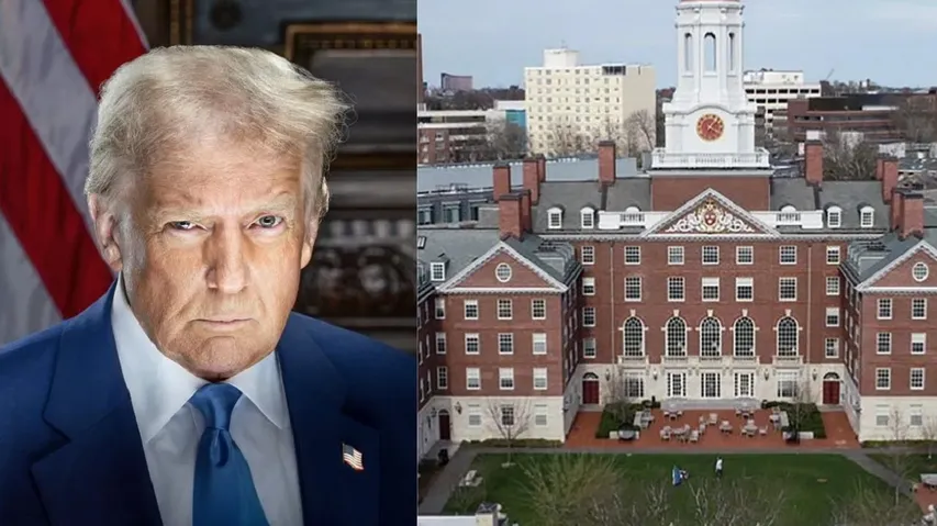 Harvard Delivers