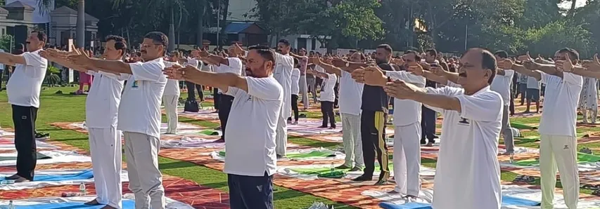 वाईवीएन