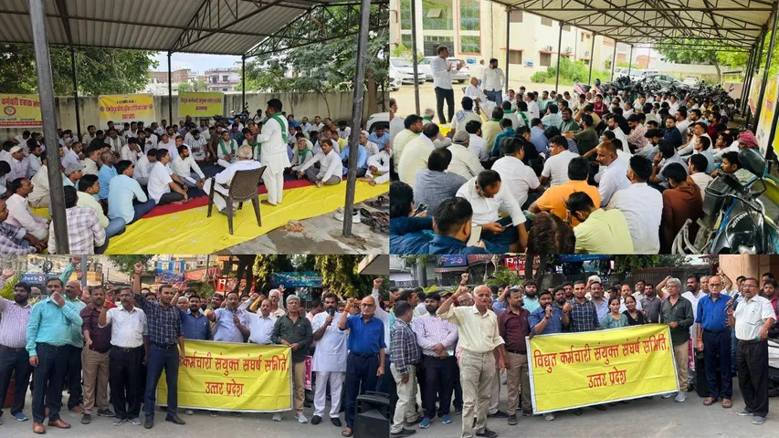 up electricity privatisation protest