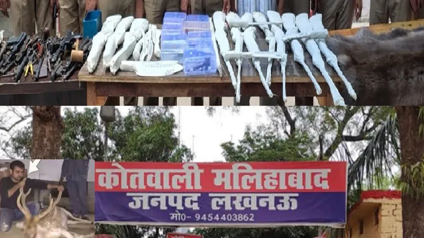 Illegal arms factory 15